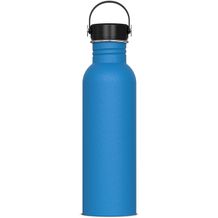 Wasserflasche Marley 750ml (hellblau) (Art.-Nr. CA142028)