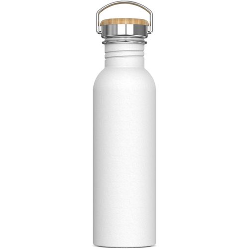 Wasserflasche Ashton 750ml (Art.-Nr. CA247829) - Einwandige Trinkflasche aus Edelstahl....