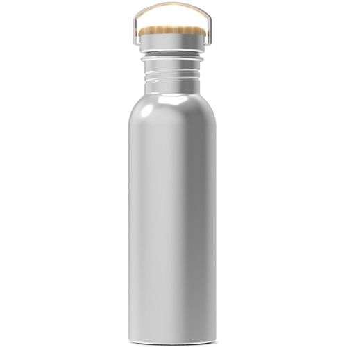Wasserflasche Ashton 750ml (Art.-Nr. CA348933) - Einwandige Trinkflasche aus Edelstahl....