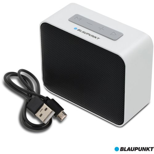 BLP3140 | Blaupunkt Outdoor 5W Speaker (Art.-Nr. CA450880) - Dieser 5-Watt-Lautsprecher im Metalldesi...