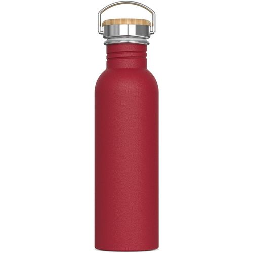 Wasserflasche Ashton 750ml (Art.-Nr. CA586268) - Einwandige Trinkflasche aus Edelstahl....
