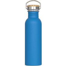 Wasserflasche Ashton 750ml (hellblau) (Art.-Nr. CA833415)