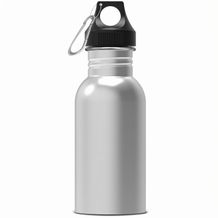 Wasserflasche Lennox 500ml (silber) (Art.-Nr. CA889335)