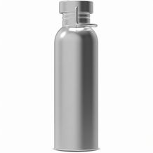 Wasserflasche Skyler 750ml (silber) (Art.-Nr. CA903578)