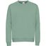 BS Atlas Pullover, 280 g/m2, 70 % Baumwolle / 30 % Polyester (Sage) (Art.-Nr. CA134988)