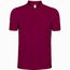 BS Evolution Polo, 180 g/m2, 100 % Baumwolle (Weinrot) (Art.-Nr. CA245580)