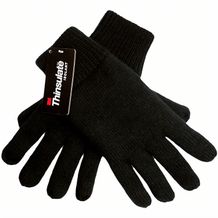 Thinsulate Handschuhe [Gr, L] (Schwarz) (Art.-Nr. CA393400)