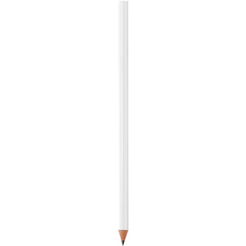 BIC® Evolution® Classic Ecolutions® Bleistift Siebdruck (Art.-Nr. CA536964) - Holzfreier Bleistift aus Kunstharz....