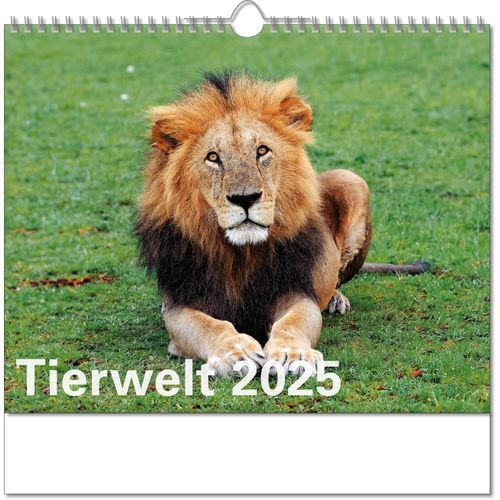 Kalender "Tierwelt" im Format 30 x 29 cm, mit Wire-O-Bindung und verlängerter Rückwand (Art.-Nr. CA299324) - Wagen Sie den Blick in die Tierwelt!...