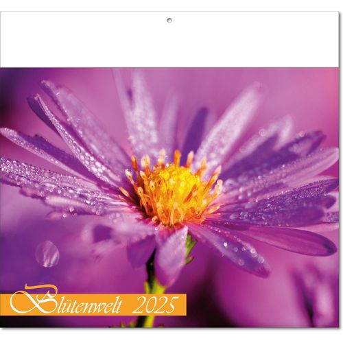 Kalender "Blütenwelt" im Format 30 x 28 cm, mit Fälzel (Art.-Nr. CA324444) - Blumen. Blüten. Farbenpracht. Der Bildk...