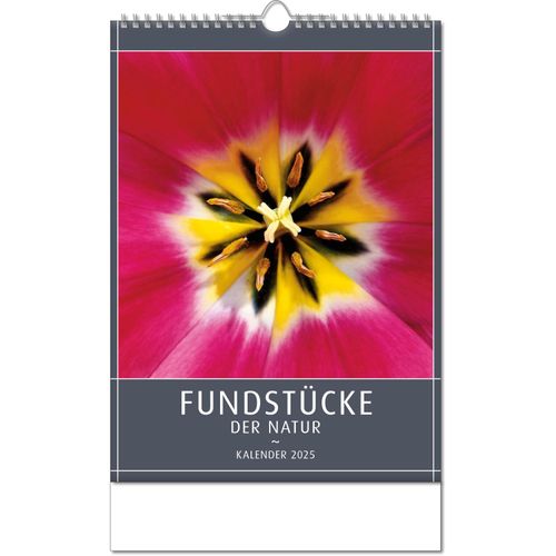 Kalender "Fundstücke der Natur" im Format 24 x 38,5 cm, mit Wire-O Bindung und verlängerter Rückwand (Art.-Nr. CA783390) - Zwölf brilliante Nahaufnahmen entführe...