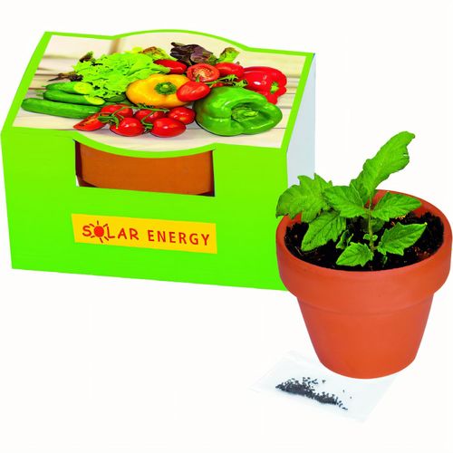 Naschgemüse-Töpfchen Blattsalat-Mix (Art.-Nr. CA027864) - Gemüse zum Naschen, einfach selbe...