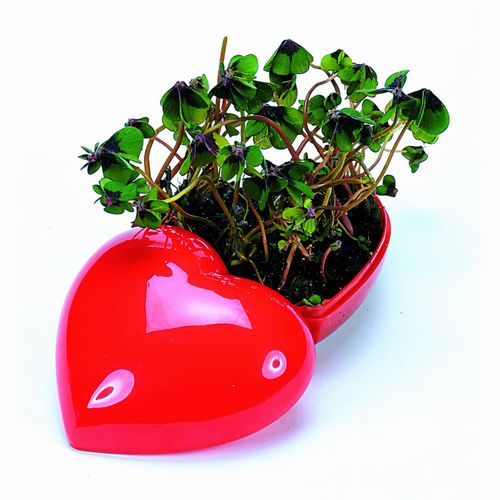 Glücksklee Herz (Art.-Nr. CA584867) - Ein ansprechendes rotes Kunststoff-Herz...