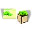Pflanzsteckbox Green (beige) (Art.-Nr. CA868182)