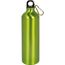 Aluminium-Trinkflasche BIG TRANSIT (grün) (Art.-Nr. CA203904)