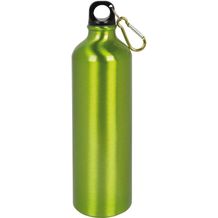 Aluminium-Trinkflasche BIG TRANSIT (grün) (Art.-Nr. CA203904)