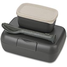 koziol CANDY READY Lunchbox-Set + Besteck-Set (nature ash grey) (Art.-Nr. CA301144)