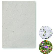 DIN A6 Wildblumen-Samenpapier ASIDO (weiß) (Art.-Nr. CA296384)