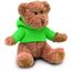 Teddybär mit Hoody JOHNNY (grün) (Art.-Nr. CA730982)