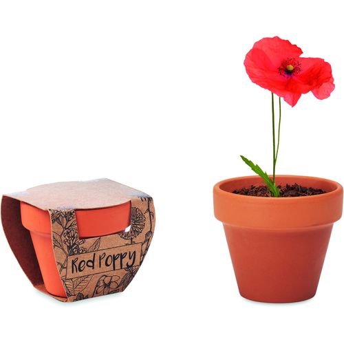 Terracotta-Topf Mohnblume RED POPPY (Art.-Nr. CA791651) - Züchten Sie Ihre eigenen schönen Blume...