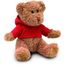 Teddybär mit Hoody JOHNNY (Art.-Nr. CA872616)