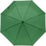 Regenschirm aus Pongee-Seide Elias (grün) (Art.-Nr. CA176026)