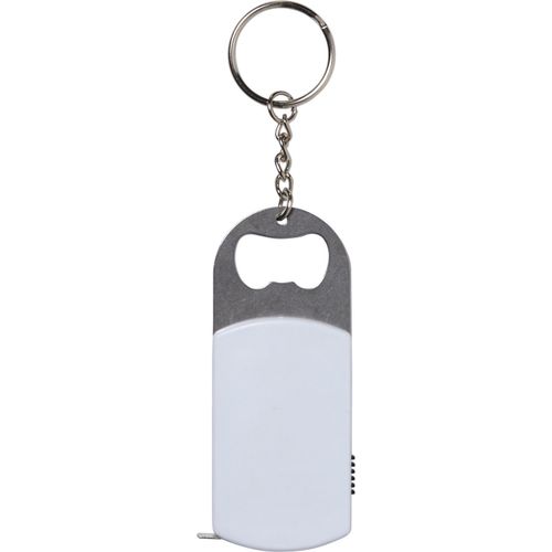 Schlüsselanhänger aus Kunststoff Karen (Art.-Nr. CA552578) - Schlüsselanhänger aus Kunststoff, m...