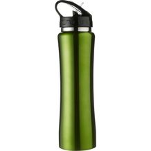 Trinkflasche aus Edelstahl Teresa (hellgrün) (Art.-Nr. CA595381)