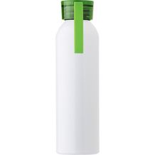 Aluminium Flasche(650 ml) Shaunie (limettengrün) (Art.-Nr. CA669066)