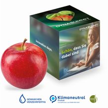 Werbe-Apfel in Promotion-Box, Graspapier, Klimaneutral, FSC® (4-farbig) (Art.-Nr. CA264150)
