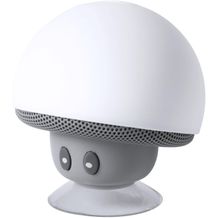 Bluetooth-Lautsprecher Wanap (weiß, grau) (Art.-Nr. CA027913)