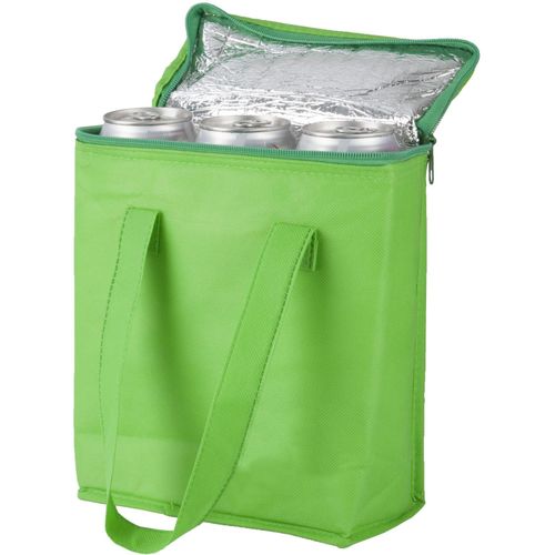 Kühltasche Fridrate (Art.-Nr. CA043065) - Kühltasche aus Non-Woven mit Reißversc...
