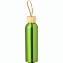 Trinkflasche Irvinson (grün) (Art.-Nr. CA170481)