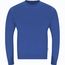 Sweatshirt Skelton (blau) (Art.-Nr. CA197359)