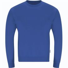 Sweatshirt Skelton (blau) (Art.-Nr. CA197359)