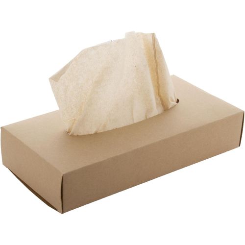 Papiertaschentücher CreaSneeze Eco (Art.-Nr. CA215776) - 100 Papiertaschentücher, 2-lagig, i...