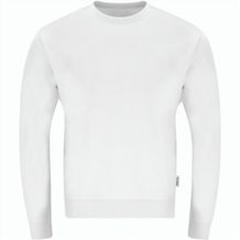 Sweatshirt Skelton (weiß) (Art.-Nr. CA319304)