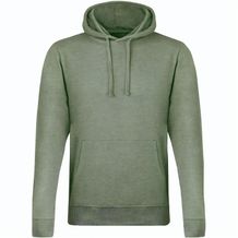 Kapuzen-Sweatshirt Landon (grün) (Art.-Nr. CA322530)