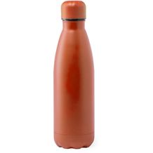 Edelstahl-Trinkflasche Rextan (orange) (Art.-Nr. CA328918)