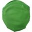 Frisbee Pocket (grün) (Art.-Nr. CA347395)