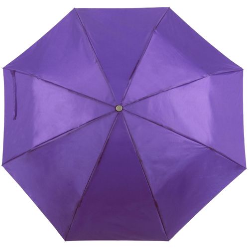 Regenschirm Ziant (Art.-Nr. CA435862) - Manueller Taschenschirm mit 8 Segmenten...
