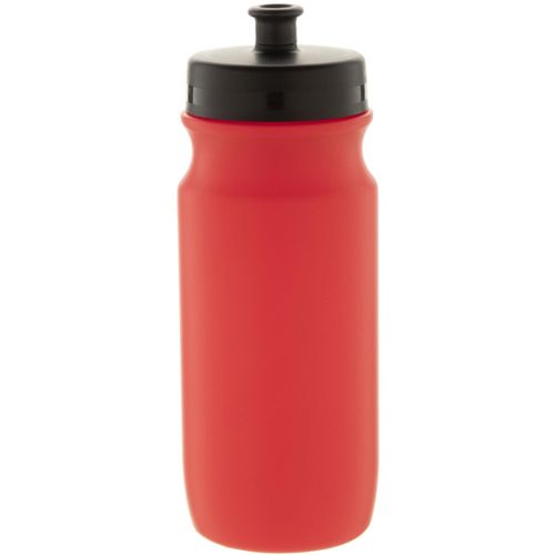 Trinkflasche Palmares (Art.-Nr. CA438977) - Sportflasche aus BPA-freiem PP-Kunststof...