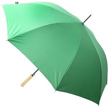 RPET Regenschirm Asperit (grün) (Art.-Nr. CA500546)