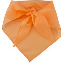 Schal Plus (orange) (Art.-Nr. CA549333)