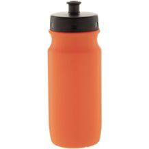 Trinkflasche Palmares (orange) (Art.-Nr. CA827973)