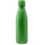 Edelstahl-Trinkflasche Rextan (grün) (Art.-Nr. CA863493)