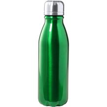 Trinkflasche Raican (grün) (Art.-Nr. CA905570)