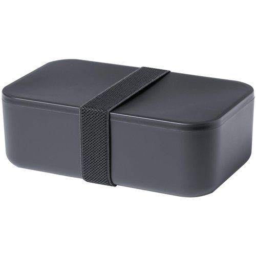 Lunchbox Sandix (Art.-Nr. CA915346) - Lunchbox aus PP-Kunststoff mit Gummiband...