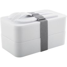Antibakterielle Lunchbox Fandex (weiß, grau) (Art.-Nr. CA994601)