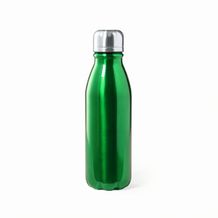 Trinkflasche Raican (grün) (Art.-Nr. CA018839)